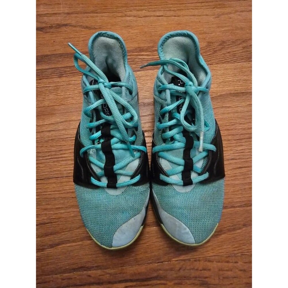 Nike Paul George sneakers